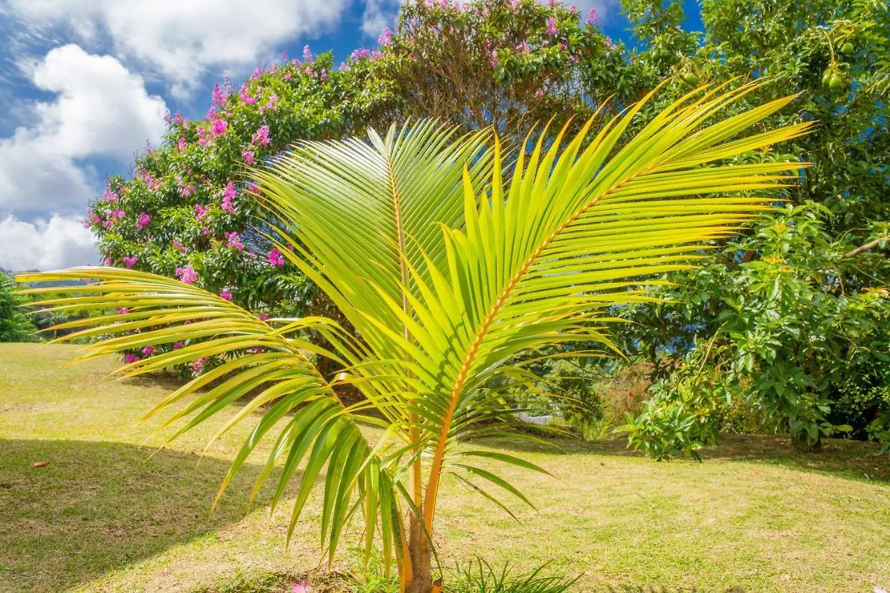 Villa Mille Soleil Port Glaud 0*,